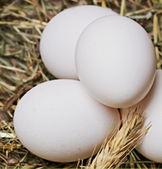 Ägg från gårdar i din närmiljö